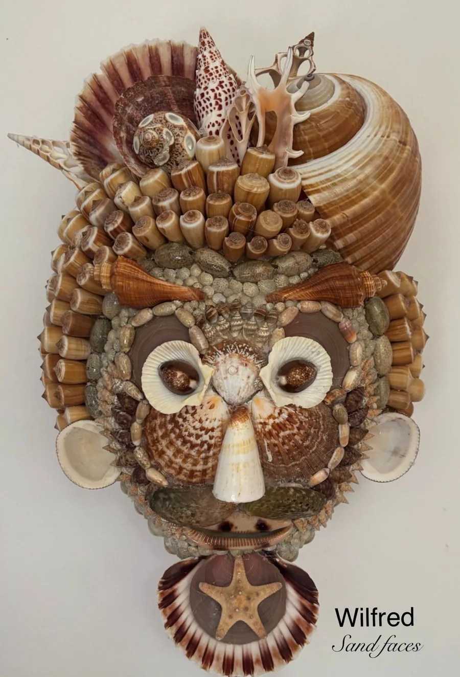 Wilfred, portrait sculptural en coquillages par Sandrine Peten